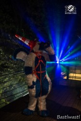 CGC2 0297 von Bastlwastl