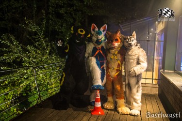 CGC2 0313 von Bastlwastl