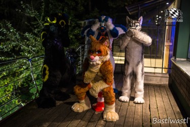 CGC2 0333 von Bastlwastl