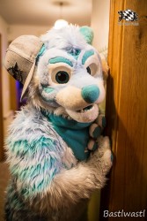 CGC2 0337 von Bastlwastl