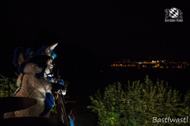 CGC2 0340 von Bastlwastl