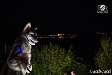 CGC2 0342 von Bastlwastl