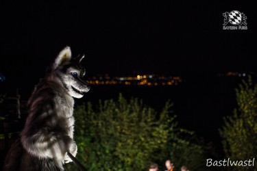 CGC2 0343 von Bastlwastl