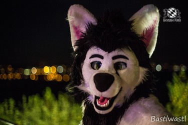 CGC2 0362 von Bastlwastl