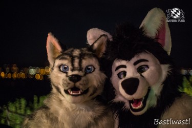 CGC2 0368 von Bastlwastl