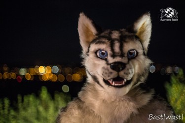 CGC2 0373 von Bastlwastl