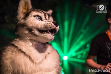 CGC2 0375 von Bastlwastl