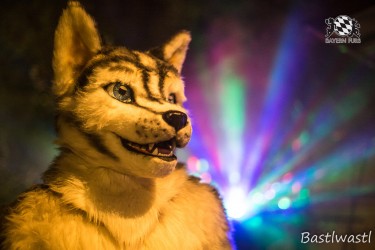 CGC2 0377 von Bastlwastl