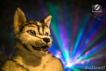 CGC2 0379 von Bastlwastl