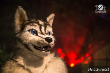 CGC2 0380 von Bastlwastl