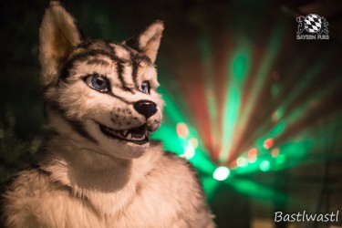 CGC2 0381 von Bastlwastl