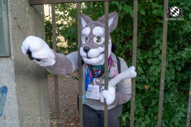 MSW5 014 von Razurac