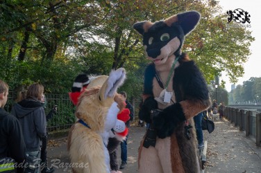 MSW5 015 von Razurac