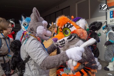 MSW5 016 von Razurac