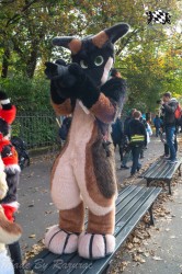 MSW5 023 von Razurac