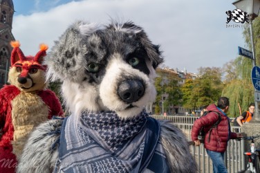 MSW5 043 von Razurac