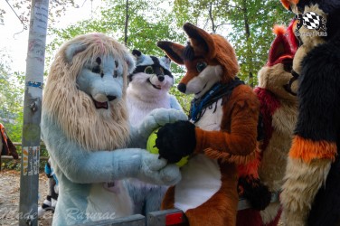 MSW5 052 von Razurac