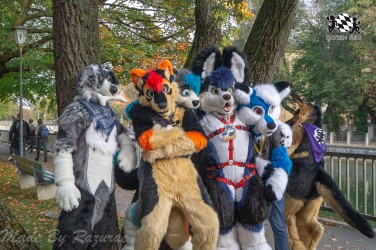 MSW5 053 von Razurac