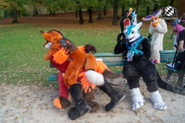 MSW5 063 von Razurac