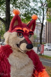 MSW5 064 von Razurac