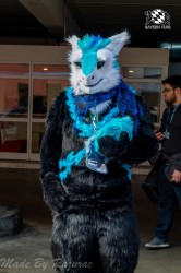 MSW5 065 von Razurac