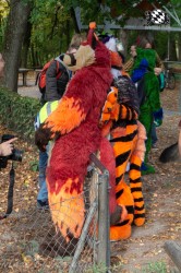 MSW5 072 von Razurac