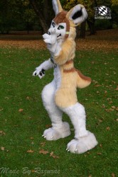 MSW5 074 von Razurac