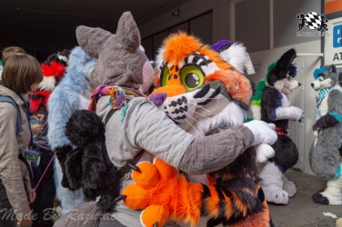 MSW5 077 von Razurac