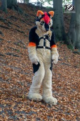 MSW5 081 von Razurac