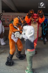 MSW5 087 von Razurac