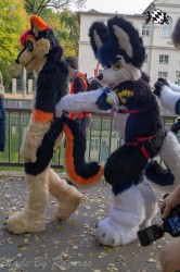 MSW5 090 von Razurac