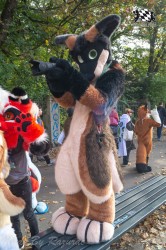 MSW5 091 von Razurac