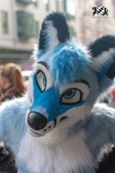 MSW5 122 von RyuxWolf