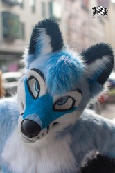 MSW5 123 von RyuxWolf