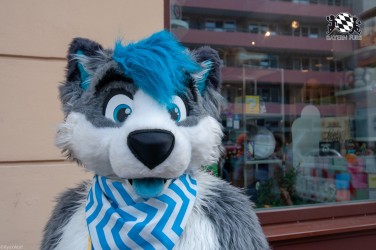 MSW5 133 von RyuxWolf