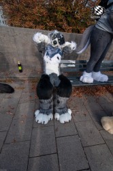 MSW5 149 von RyuxWolf