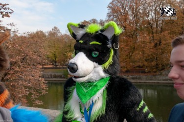 MSW5 155 von RyuxWolf