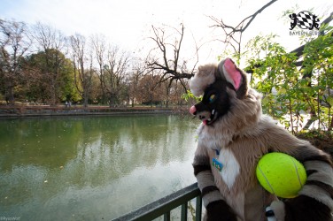 MSW5 160 von RyuxWolf