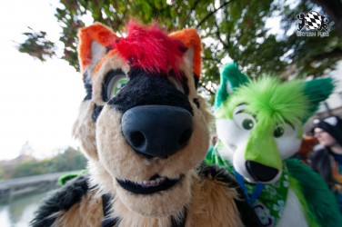 MSW5 163 von RyuxWolf