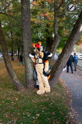 MSW5 167 von RyuxWolf