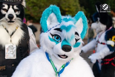 MSW5 169 von RyuxWolf