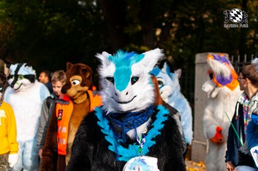 MSW5 177 von RyuxWolf