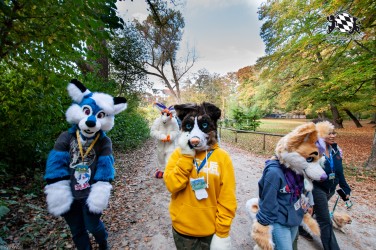 MSW5 200 von RyuxWolf