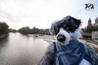 MSW5 226 von RyuxWolf