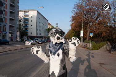 MSW5 240 von RyuxWolf