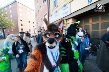 MSW5 241 von RyuxWolf