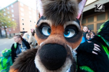 MSW5 242 von RyuxWolf