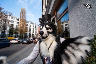 MSW5 251 von RyuxWolf