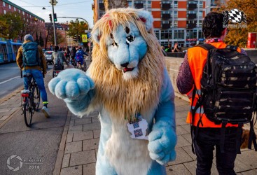 MSW5 254 von Nefires