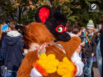 MSW5 272 von Nefires